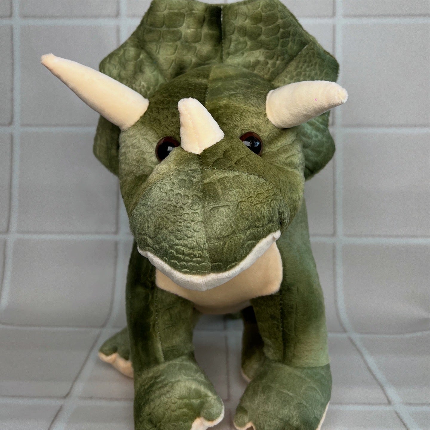 Triceratops